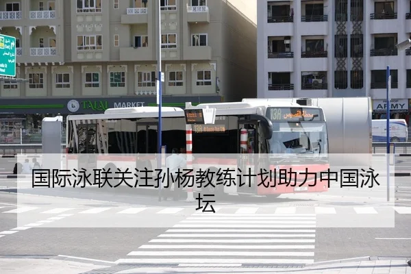 国际泳联关注孙杨教练计划助力中国泳坛